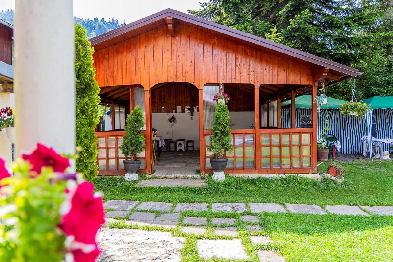 Pensiunea Montan Buşteni Exterior foto