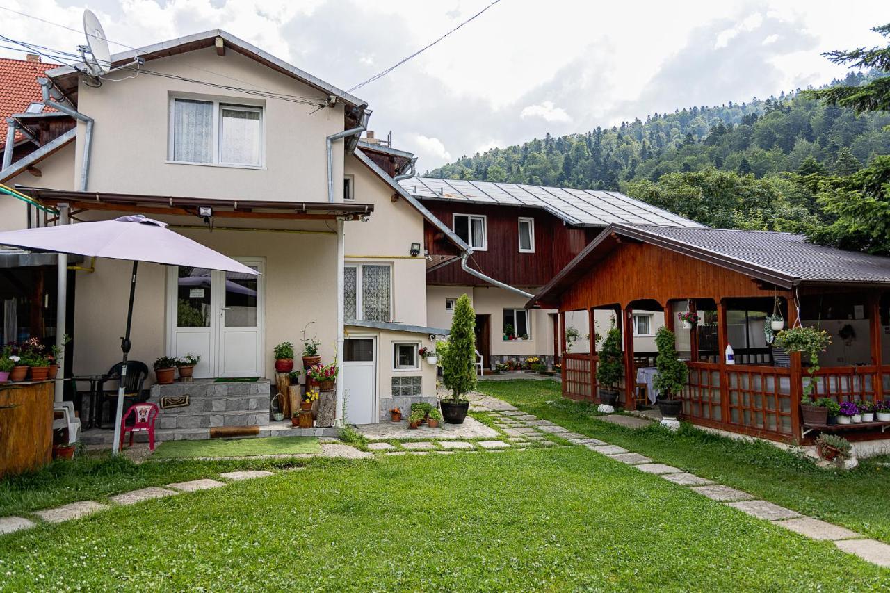 Pensiunea Montan Buşteni Exterior foto