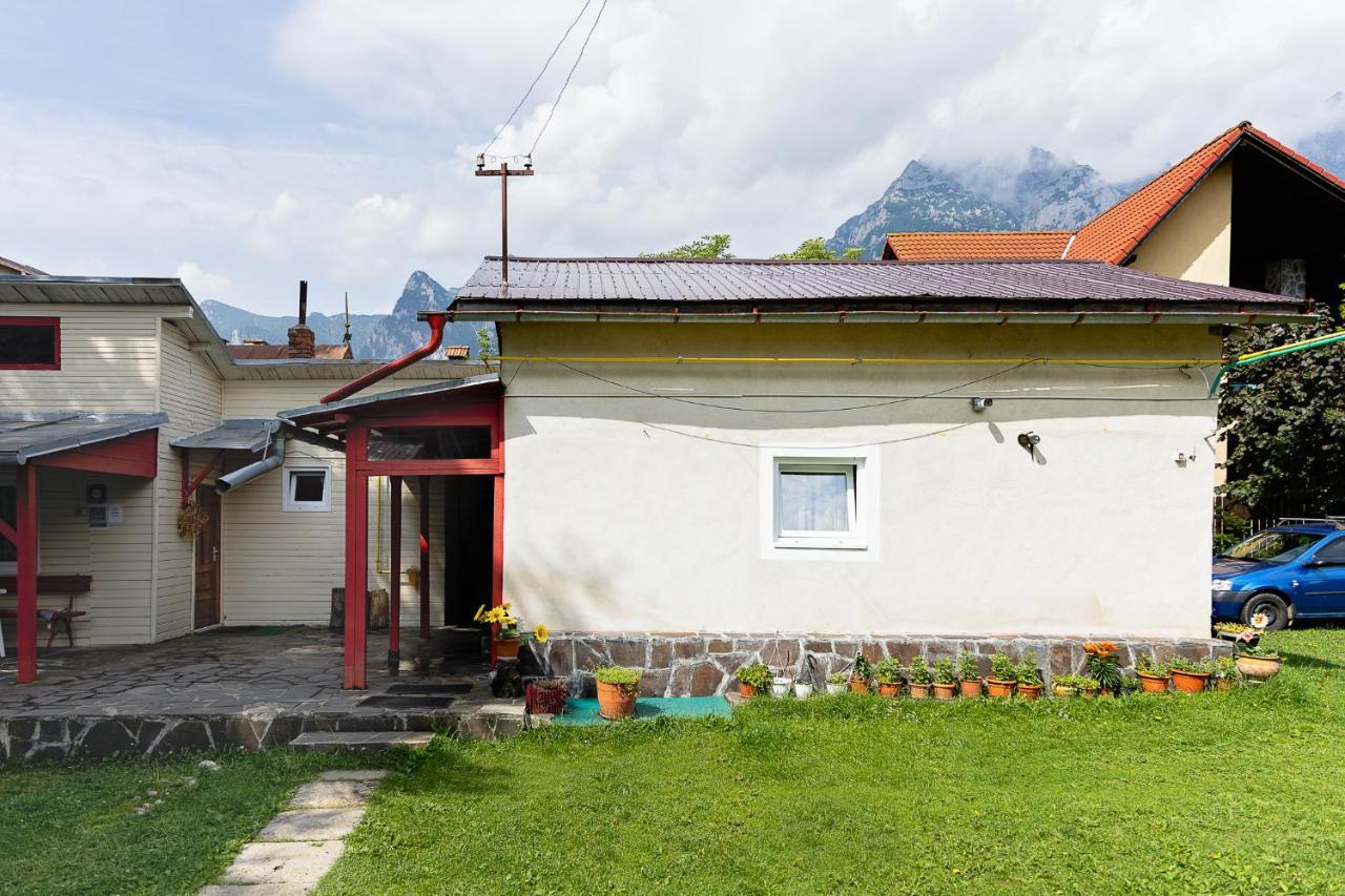 Pensiunea Montan Buşteni Exterior foto