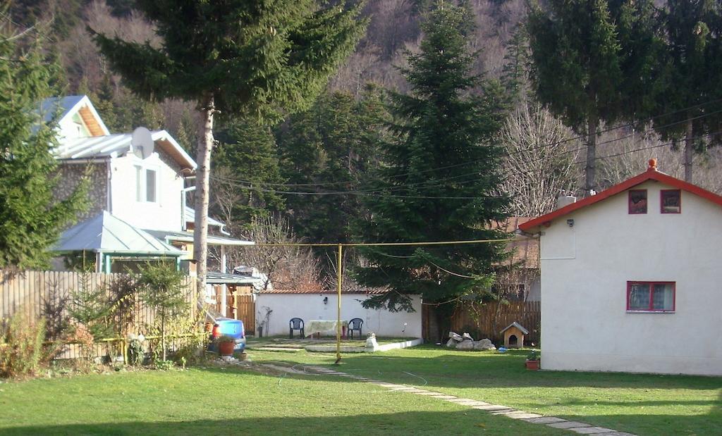 Pensiunea Montan Buşteni Exterior foto