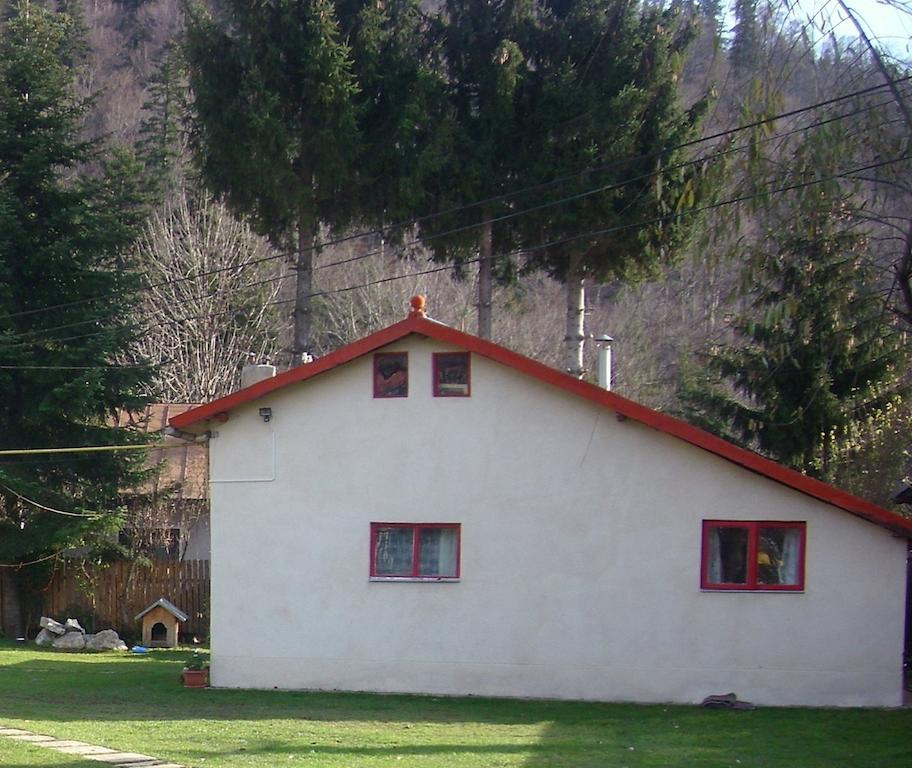 Pensiunea Montan Buşteni Exterior foto
