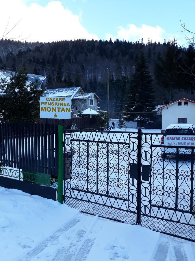 Pensiunea Montan Buşteni Exterior foto